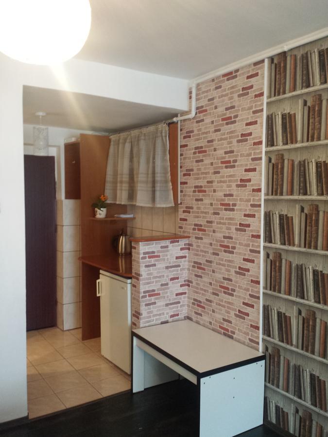 Апартаменты Studio Пояна-Брашов Экстерьер фото